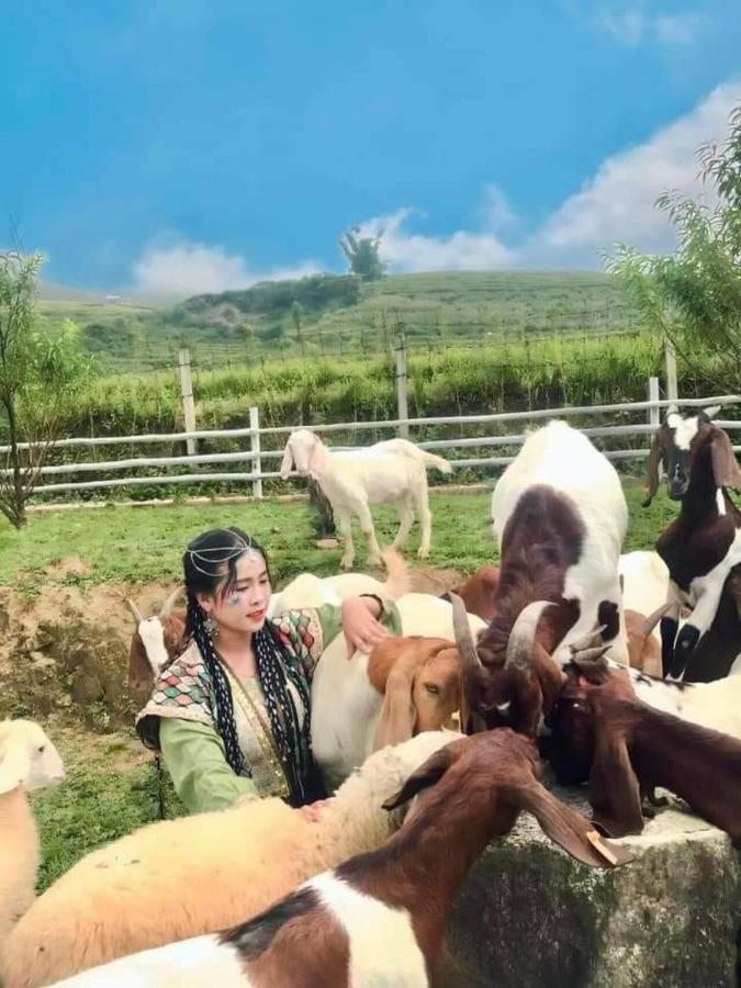 O Chau Homestay Λάο Τσάι Εξωτερικό φωτογραφία